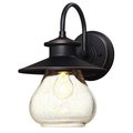 Brilliantbulb Delmont One - Light Outdoor Wall Fixture BR2689951